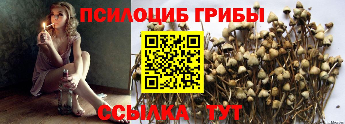 Псилоцибиновые грибы прущие грибы Избербаш