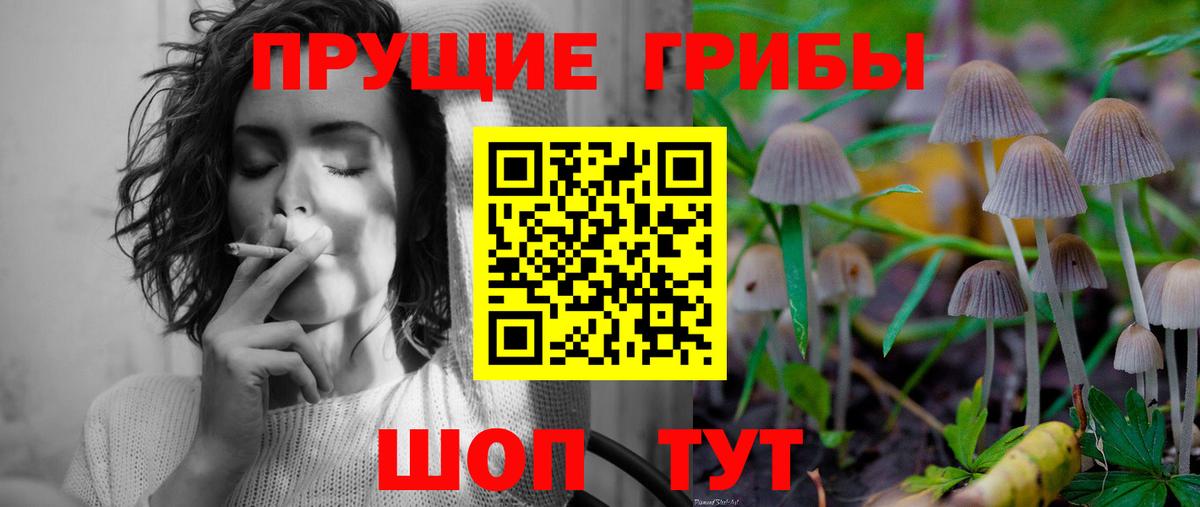 Галлюциногенные грибы Psilocybine cubensis  Галлюциногенные грибы Cubensis  Избербаш  Вход с VPN 